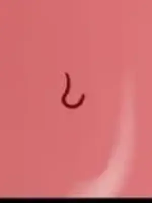 Cosplay女友 1-19話[完結]_016014