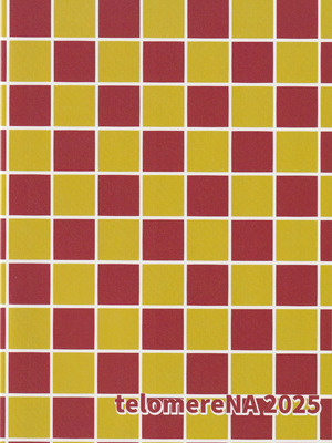 (明日のかがり火と共に 星に願いを。2025) [てろめあな (ぐすたふ)] カレとカノジョの夫婦はじめ (機動戦士ガンダムSEED FREEDOM) [中国翻訳]_30_tiqw