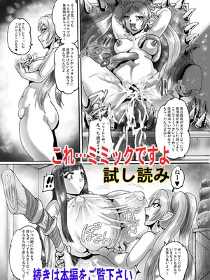 [KEBEROコーポレーション] これ…絶対にミミックですから！(葬送のフリーレン) [DL版]_26