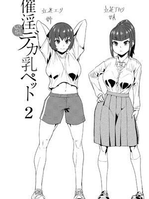 [テラダ・ジャッカス] 催淫いいなりデカ乳ペット_036