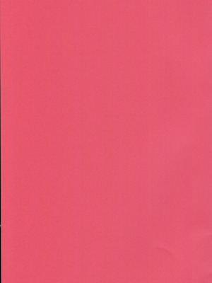 (C100) [大事なことは二回も言わない (はせべso鬱)] 被虐の断片｜被虐的碎片 [沒有漢化]_24_hveg