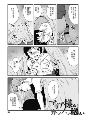 [玉置勉強] 叙情と色情 [DL版] [Sakura机翻汉化]_085