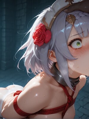 [PaperHero] - Genshin Impact - Noelle and Eula_#110