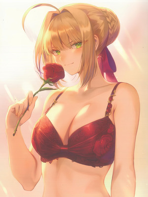 (Air Comiket 2) [ねこのおやしろ (ましゅー)] CHALDEA Lingerie Collection Vol. 5 (Fate／Grand Order)_17_qsmq