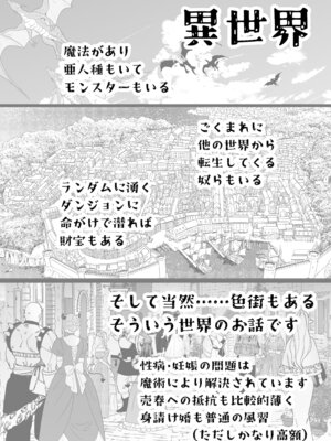 [ふらふらトキシン] 異世界色街 本日身請けセール中 本気で私を身請けするんですか!？ 2 (オリジナル) [DL版]_02_ehgs