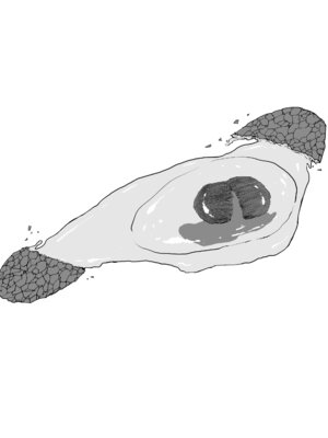 [しおじ] でっかい尻の人妻と朝までヤりまくった話 [DL版]_04_wfmm