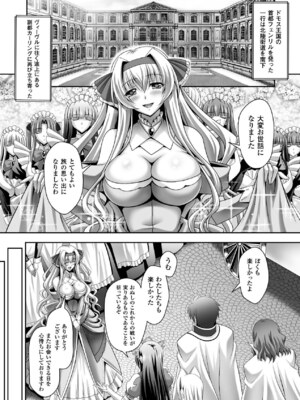 [アンソロジー] メガミクライシス15 [DL版]_111_rgca