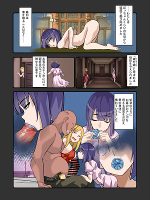 [デンデン太鼓] 僕のメイドは名器自慢の元娼婦 ダウナーメイドが客に抱かれた話をしながら事務的にシコってくれた夜_16_kjim