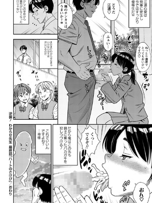 コミックマショウ 2026年2月号 [DL版]_168_xtio