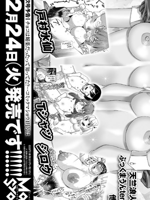 コミックマショウ 2026年2月号 [DL版]_261_fefs