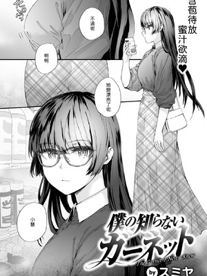 [スミヤ] 僕の知らないガーネット [中譯]