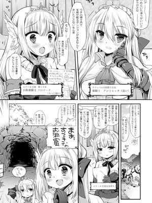 [D・N・A.Lab. (ミヤスリサ)] 姫騎士ちゃん大敗北集 ミヤスリサside_28_erkl