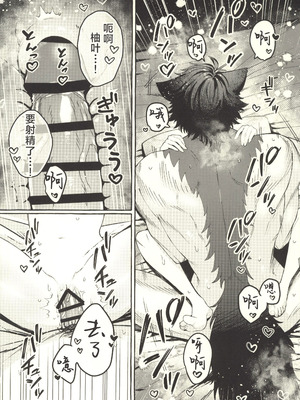 (C107) [痺れな目眩 (江田島電気)] 犬はわん、狸は？ (ゼンレスゾーンゼロ) [禁漫漢化組]_25_qfpx