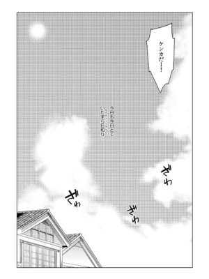 [IRIOMOTE (沙流)] お調子クラピ－人里にて陵辱。 (東方Project) [DL版]_03_ygfi