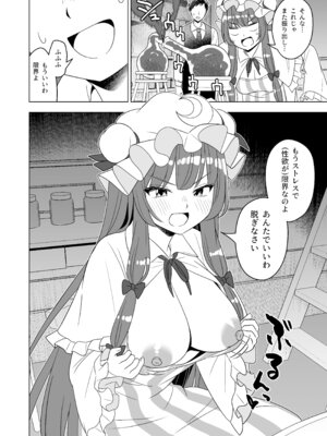 [らみ工房 (らみぃ)] ムラムラパチュリーはもう我慢できない!! (東方Project) [DL版]_05_wixt
