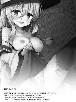 [蒼色彼方 (色谷あすか)] こいしちゃんのヒミツゴト2＋C89会場限定本 (東方Project) [DL版]_03_flls