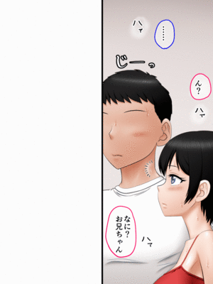 [AIM] 兄妹オナニー♪が一番ローリスクでハイリターン♪～同じ趣味の姉弟とスワップも♪～_0032_2