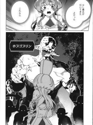 (C107) [ワッフル同盟犬 (田中竕)] 同人エロゲ転生～目覚めたら姫騎士になっていた俺は処女クリアを目指す～_58_auhe