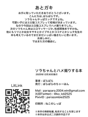 [ぱらぱらのちゃーはん (ぱらぱら)] ソラちゃんとハメ撮りする本 (ブルーアーカイブ) [DL版]_21_slsi