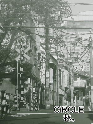 [Riん] 母⇒海⇒ナンパ⇒乱交⇒肉穴。母、堕ちる。 [田文静个人机翻]_08