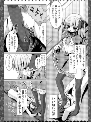 (C83) [きのこのみ (konomi)] キノコチカルセオリー２ (東方Project)_029_vpbw