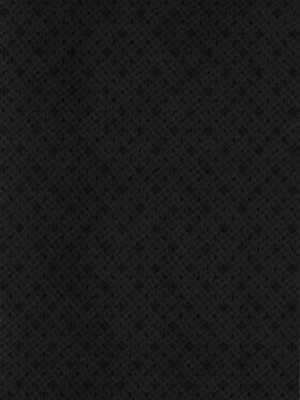 (C86) [きのこのみ (kino)] 東方総集編 (東方Project)_086_thrs