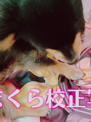 ◆FANBOX◆ かえぬこ [6993449＆kaenuco] [Don't Trust and Support Irodori Comics !]_337