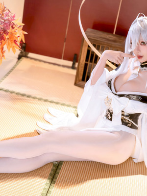 星之迟迟 - 碧蓝航线 白凤_28_etln