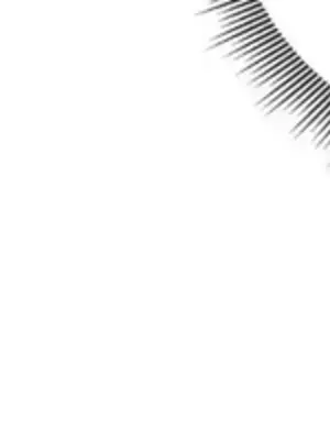 草藥愛談 1-80話[完結]v2_1041032