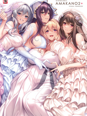 アマカノ2＋ ビジュアルファンブック [DL版]