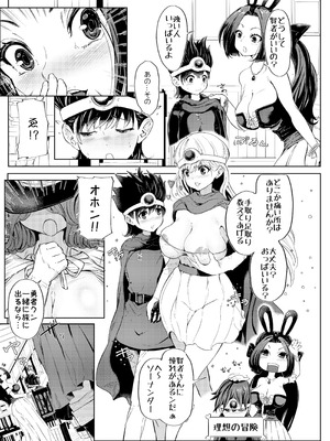 [ぱらびょ屋こねこ (ぱらびょ、こねこ)]DQ3でHな仲間たち ずっと賢者タイム_05_wvtx