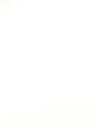 (C100) [COUNTER-CENSORSHIP (オオカミうお)] これもう巫女とか関係なくないですか!？_02_quux