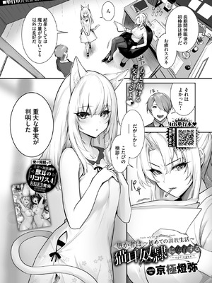 COMIC BAVEL 2026年5月号 [DL版]_351_yknq