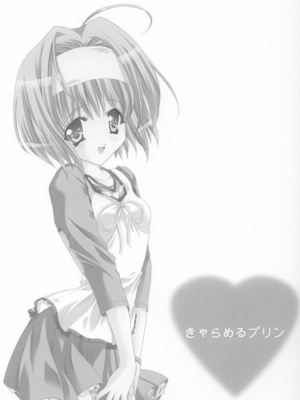(C64) [福のれん (ユキヲ)] きゃらめるプリン (シスタープリンセス)_02