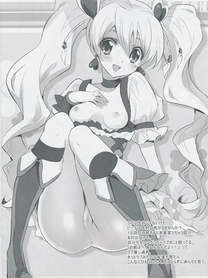 (C78) [福のれん (ユキヲ)] パイン缶 (フレッシュプリキュア!)_IMG_0009