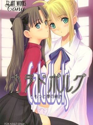 (C66) [T2 ART WORKS (Tony)] カラドボルグ-もっと夢の続き (Fatestay night)[無修正]