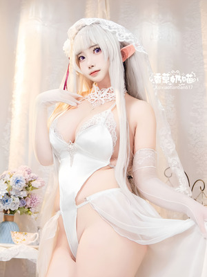 香草奶喵 爱蜜莉雅 情人节_015_tjqu