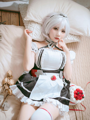 是一只熊仔吗 碧蓝航线 天狼星_05_rovs