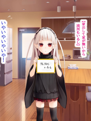 [POETTO(ハリュー)] 昼は無口で夜は激しいサキュバスちゃん_019_rtdb