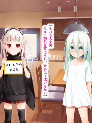 [POETTO(ハリュー)] 昼は無口で夜は激しいサキュバスちゃん_023_uojg