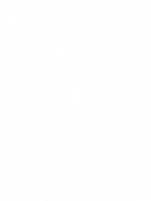 (C107) [二次結び (大野かなえ)] シスター・サラとまだらちゃん｜修女莎拉与小花斑 [白杨汉化组]_02_rohw