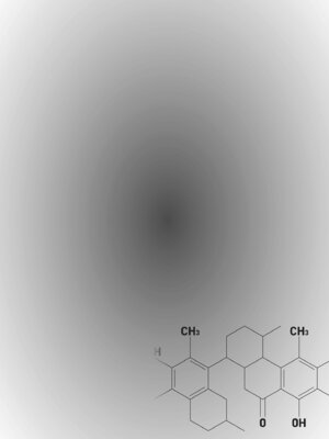 [しかばねかも] 新型！？TSウイルス アウトブレイク [DL版]_178_wxmw