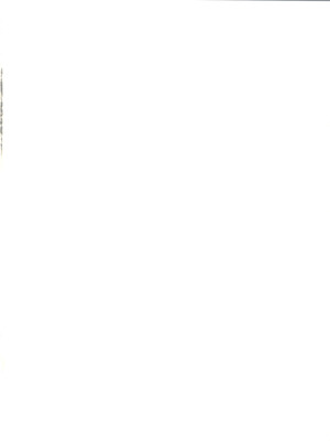 (こみトレ4) [Studio Empty (にし)] 続・愛の嵐 哀の賛歌 (名探偵コナン) [中国翻訳]_02_ebka