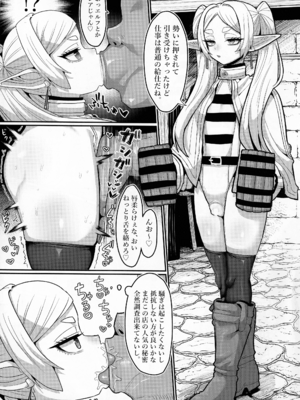 (C107) [せいのまもの (よろず)] フリーレンとなんでも調査依頼 (葬送のフリーレン)_07_vrey