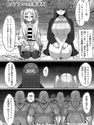 (C107) [せいのまもの (よろず)] フリーレンとなんでも調査依頼 (葬送のフリーレン)_28_xrkq