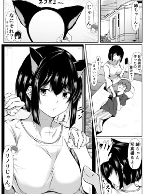 [Ishi Kenpi (Issi-13)] 何でも「はいはい」でシてくれるエッチな姉〜夏休み編〜_37_ntao