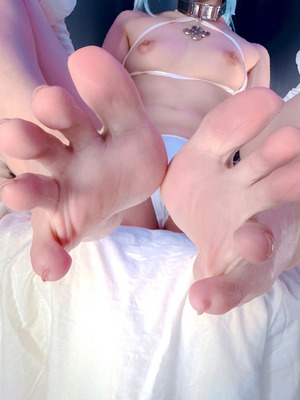 Ayame - Seed_32_eaph