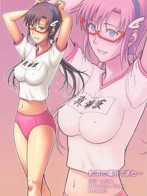 (COMIC1☆20) [爆裂風船 (でん吉)] 約束の場所でまた… (新世紀エヴァンゲリオン) [IC个人汉化]_34_ygps