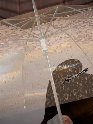 [皮三豆]绫香的日记1-5.1+幕后_1312_20200326205458877