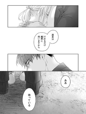 [青色観測所 (中原水芋)] 気まぐれ魔王さま、生真面目魔法少女を嫁にする。2_74_vtxa